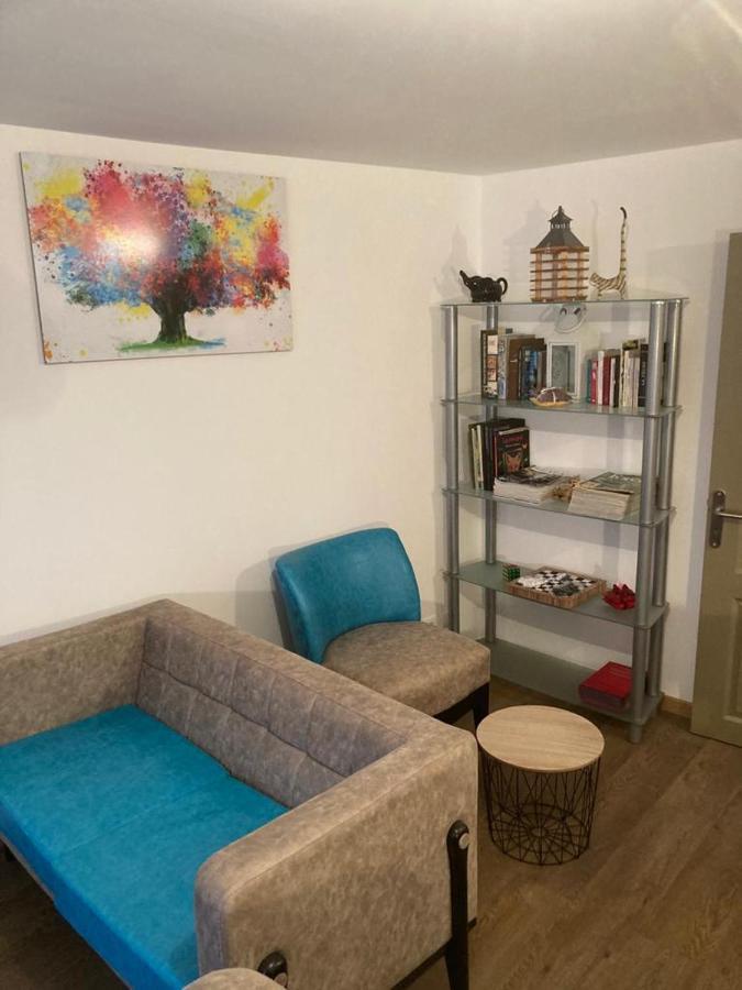 Appartement Plein Pied 45 M2 Baccarat Esterno foto